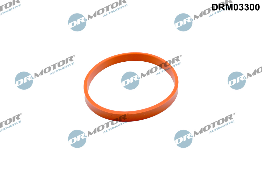 DR.MOTOR AUTOMOTIVE Dichtung, Drosselklappenstutzen drm03300 für Ford
