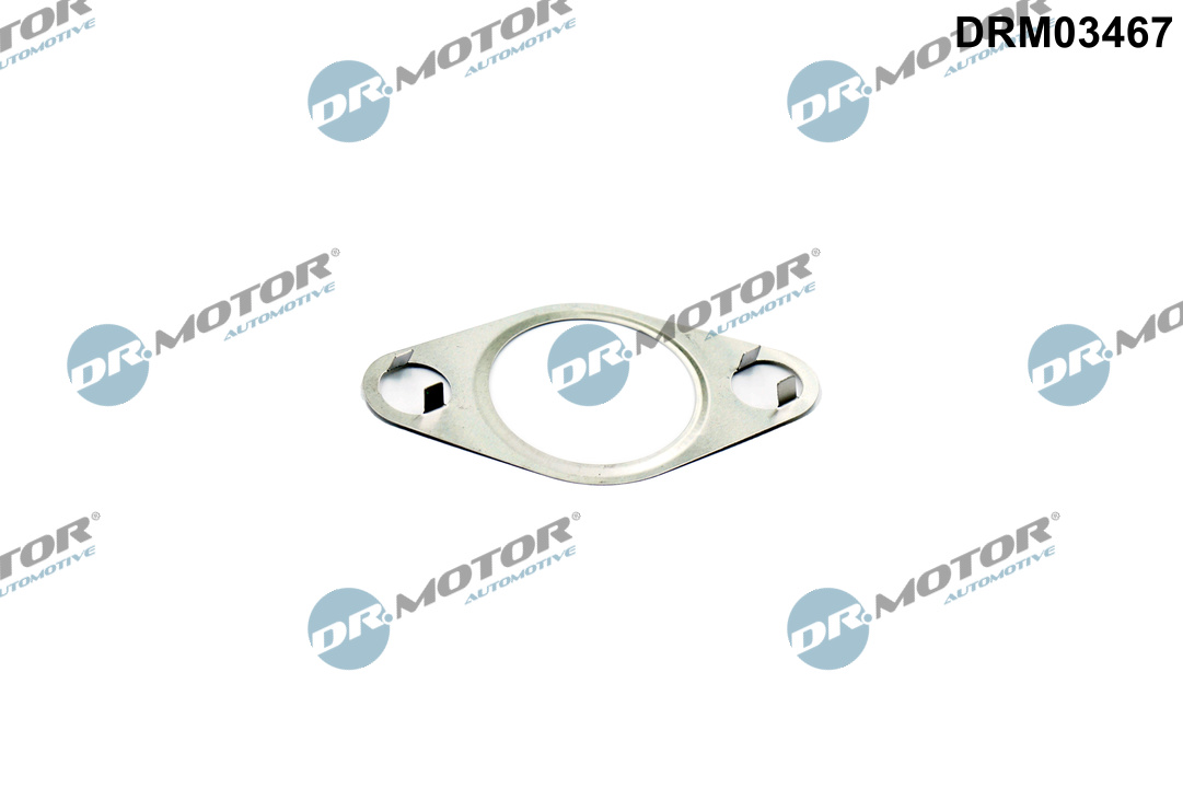 DR.MOTOR AUTOMOTIVE Dichtung, AGR-Ventil drm03467 für Ford