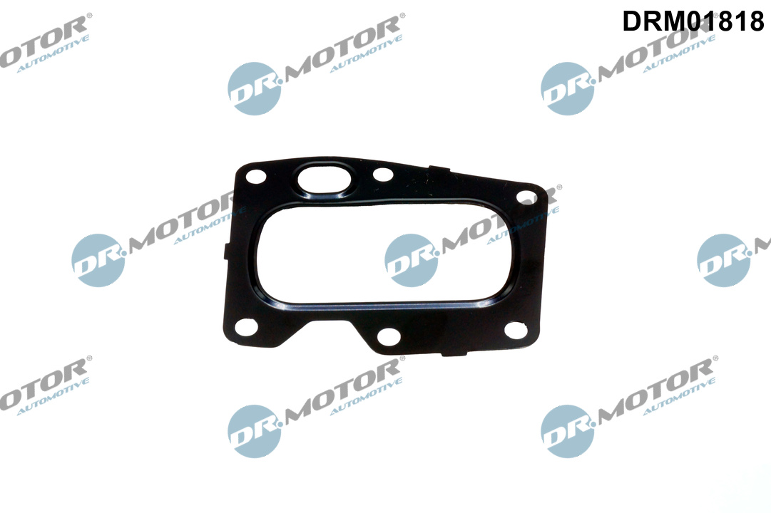 DR.MOTOR AUTOMOTIVE Dichtung, AGR-Ventil drm01818 für Peugeot