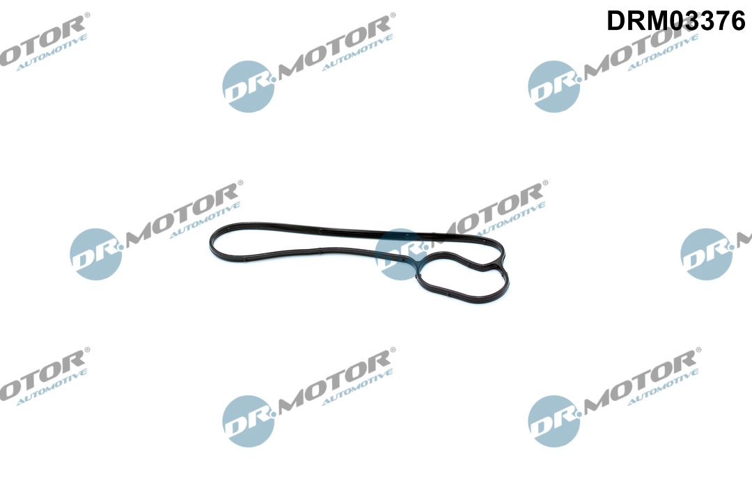 DR.MOTOR AUTOMOTIVE Dichtung, Wasserpumpe drm03376 für BMW