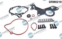DrMotor Reparatursatz, Unterdruckpumpe (Bremsanlage), Art.-Nr. DRM0210