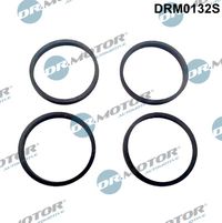 DrMotor Dichtungssatz, Ansaugkrümmer, Art.-Nr. DRM0132S