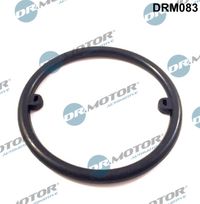 DrMotor Dichtung, lkhler, Art.-Nr. DRM083
