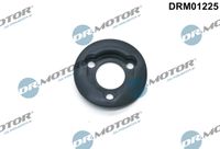 DrMotor Dichtung, leinfllstutzenverschluss, Art.-Nr. DRM01225