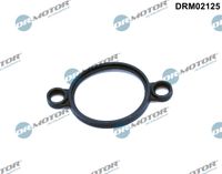 DrMotor Dichtung, Stellelement (Exzenterwelle), Art.-Nr. DRM02125
