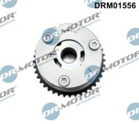 DrMotor Nockenwellenversteller, Art.-Nr. DRM01556