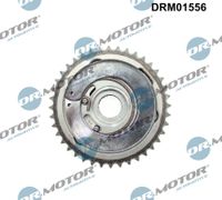 DrMotor Nockenwellenversteller, Art.-Nr. DRM01556