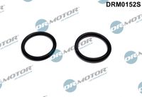 DrMotor Dichtung, Heizflansch-Ansaugluftvorwrmung, Art.-Nr. DRM0152S