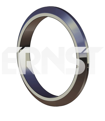 ERNST Dichtring, Abgasrohr 493925 für Peugeot Fiat