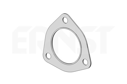 ERNST Dichtung, Abgasrohr 496483 für Ford VAG