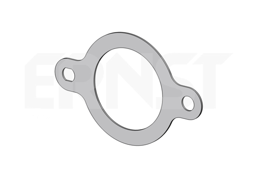 ERNST Dichtung, Abgasrohr 499408 für Ford Fiat