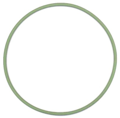 ELRING Dichtring 825751 unten für MAN