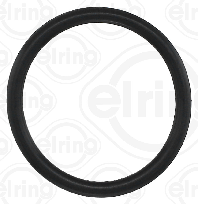 ELRING Dichtung, Kraftstoffleitung 099320 für RAM