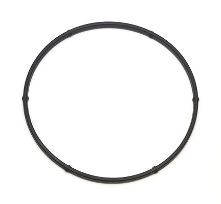 ELRING Dichtring, Wasserpumpe 104200 für Opel