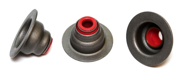 ELRING Dichtring, Ventilschaft 138310 für DS