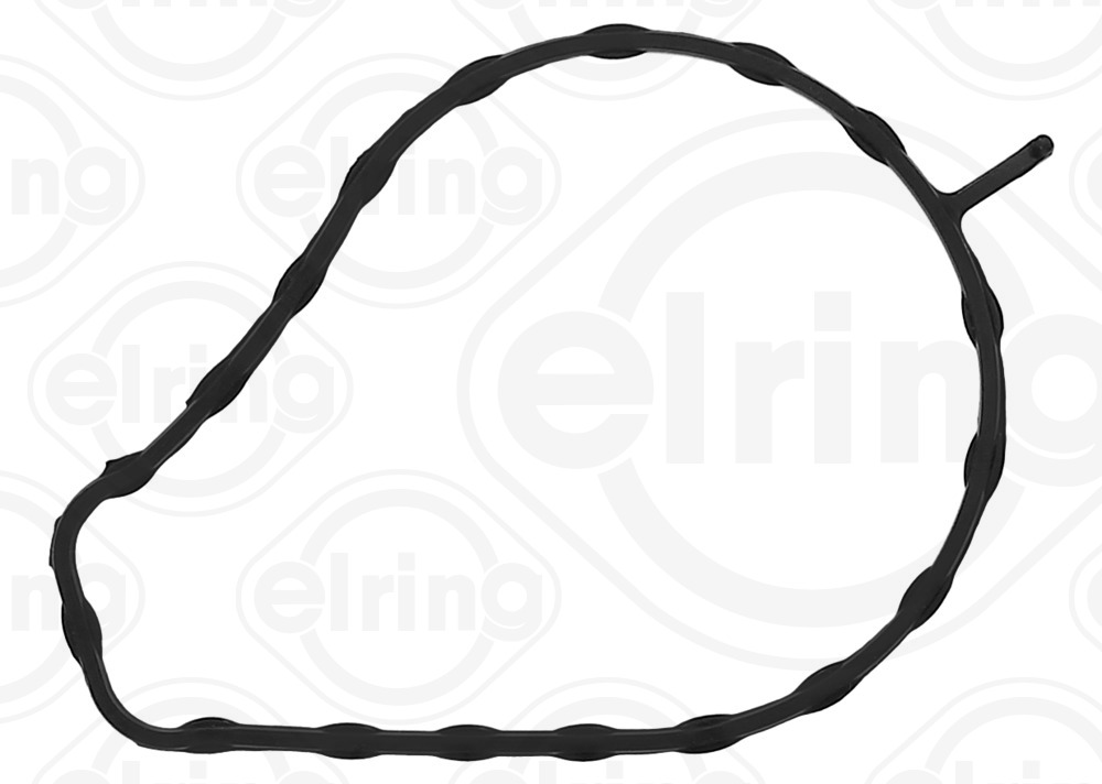 ELRING Dichtung, Wasserpumpe 297020 für GEELY DAIHATSU DS TOYOTA