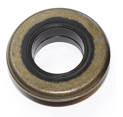 ELRING Dichtung, Zylinderkopfhaubenschrauben 445570 für Mercedes