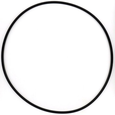 ELRING Dichtring, Radnabe-Planetengetriebe 315621 für MAN Mercedes RENAULT TRUCKS