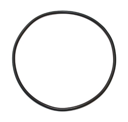 ELRING Dichtring 597791 für MAN Mercedes