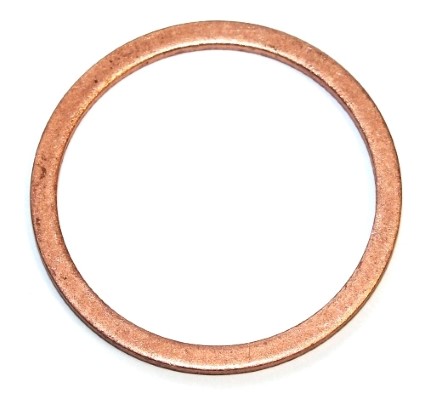 ELRING Dichtring 138908 für DAF Mercedes RENAULT TRUCKS MAN