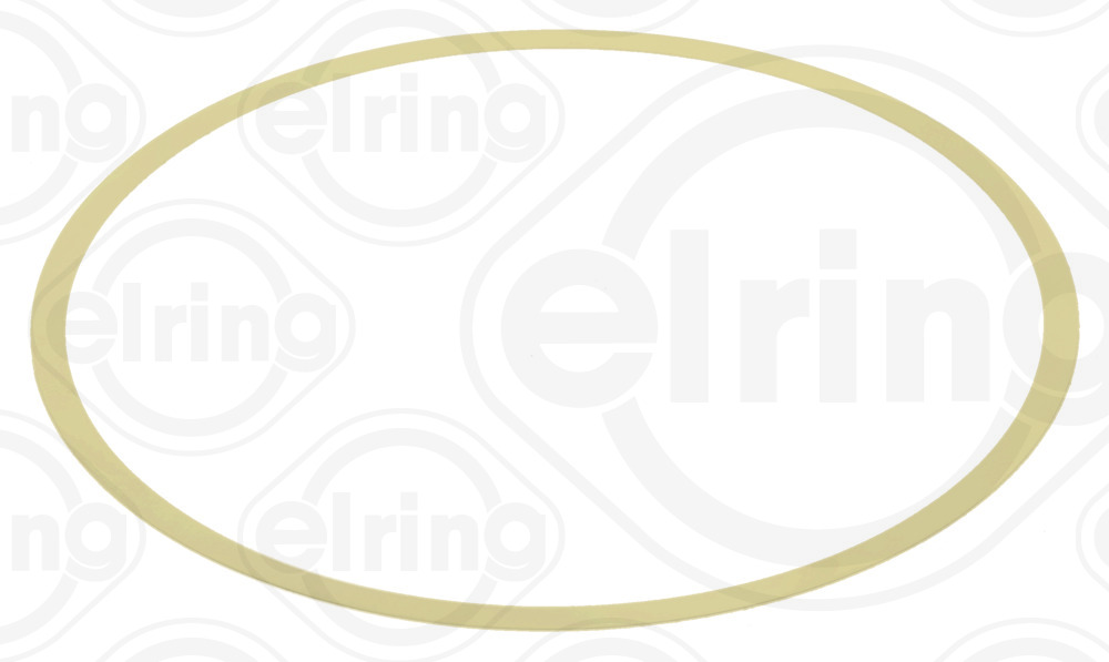 ELRING Dichtung, Zylinderlaufbuchse 162050 163,7mm für Mercedes