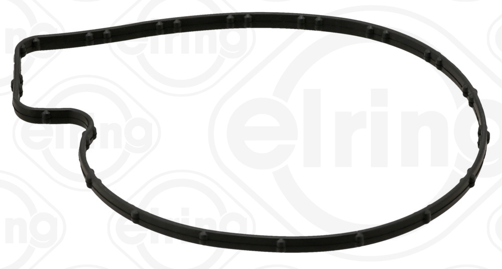 ELRING Dichtung, Wasserpumpe 110450 für Mercedes