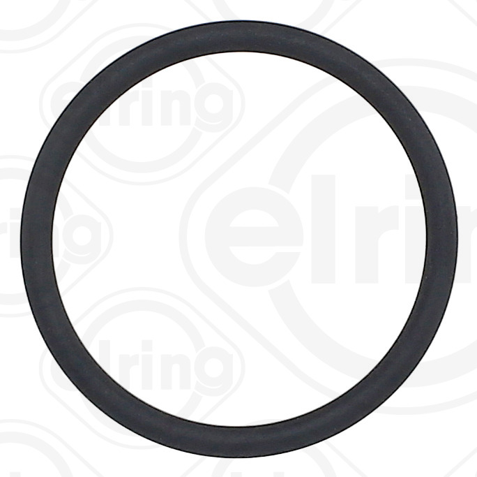 ELRING Dichtring, Kraftstoffpumpe 190830 für BMW Ford