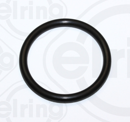 ELRING Dichtring 487620 für DAF