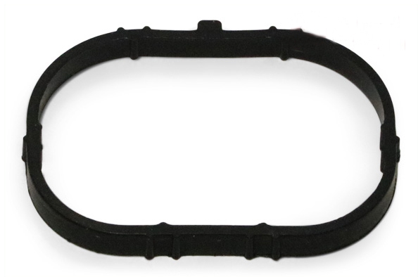 ELWIS ROYAL Dichtung, Ansaugkrümmergehäuse 0246810 für RENAULT