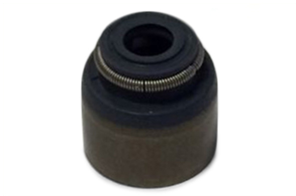 ELWIS ROYAL Dichtring, Ventilschaft 1622430 für Mercedes NISSAN RENAULT