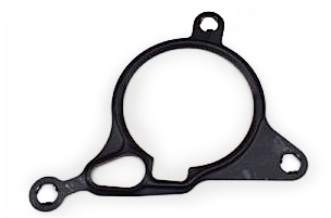 ELWIS ROYAL Dichtung, Unterdruckpumpe 3056014 für VW