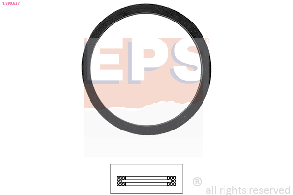 EPS Dichtung, Thermostatgehäuse 1890637 für TOYOTA