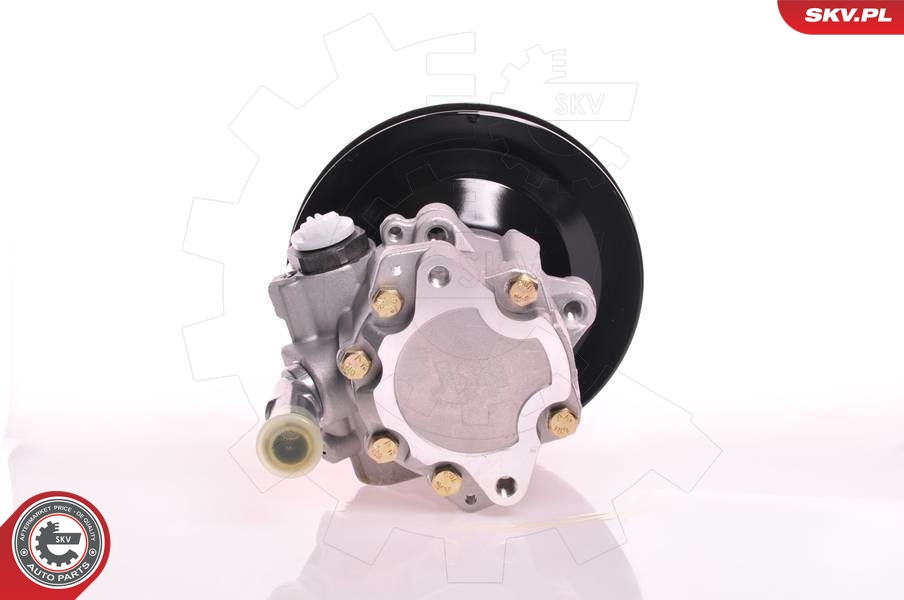 ESEN SKV Hydraulikpumpe, Lenkung  für OPEL 90350605 90392912 90295552 10SKV169