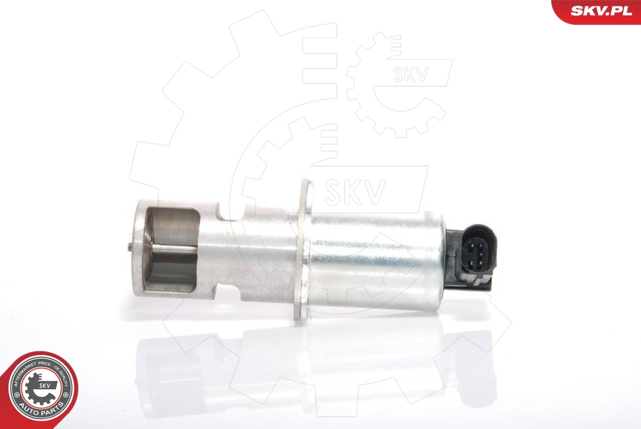 ESEN SKV AGR-Ventil 14skv021 für NISSAN RENAULT