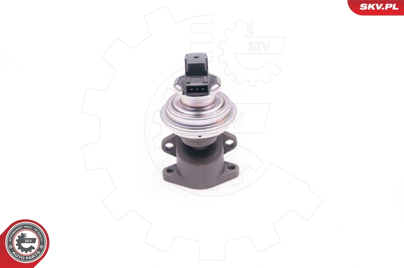 ESEN SKV AGR-Ventil 14skv129 für Ford