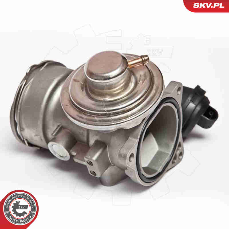 ESEN SKV AGR-Ventil 14skv024 für VW
