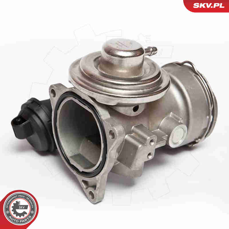 ESEN SKV AGR-Ventil 14skv025 für Ford VW