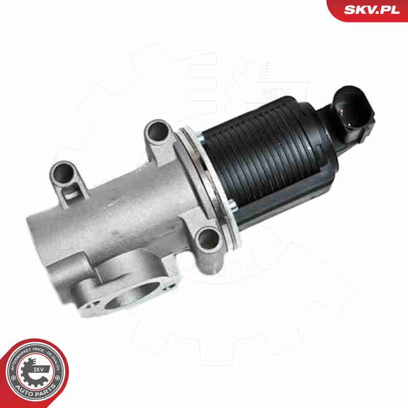 ESEN SKV AGR-Ventil 14skv006 für LANCIA ALFA ROMEO