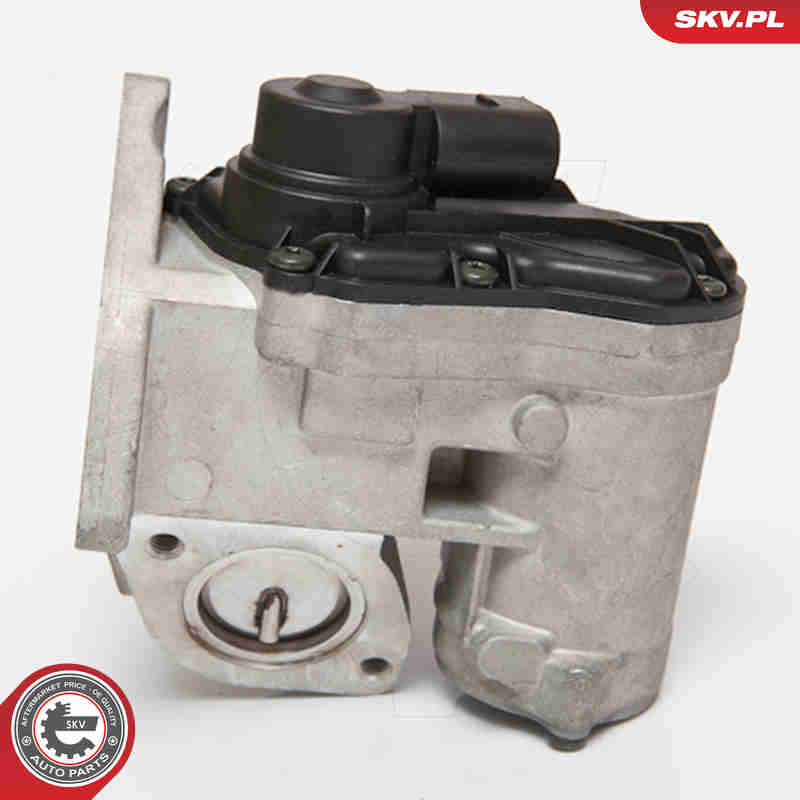 ESEN SKV AGR-Ventil 14skv086 für VW