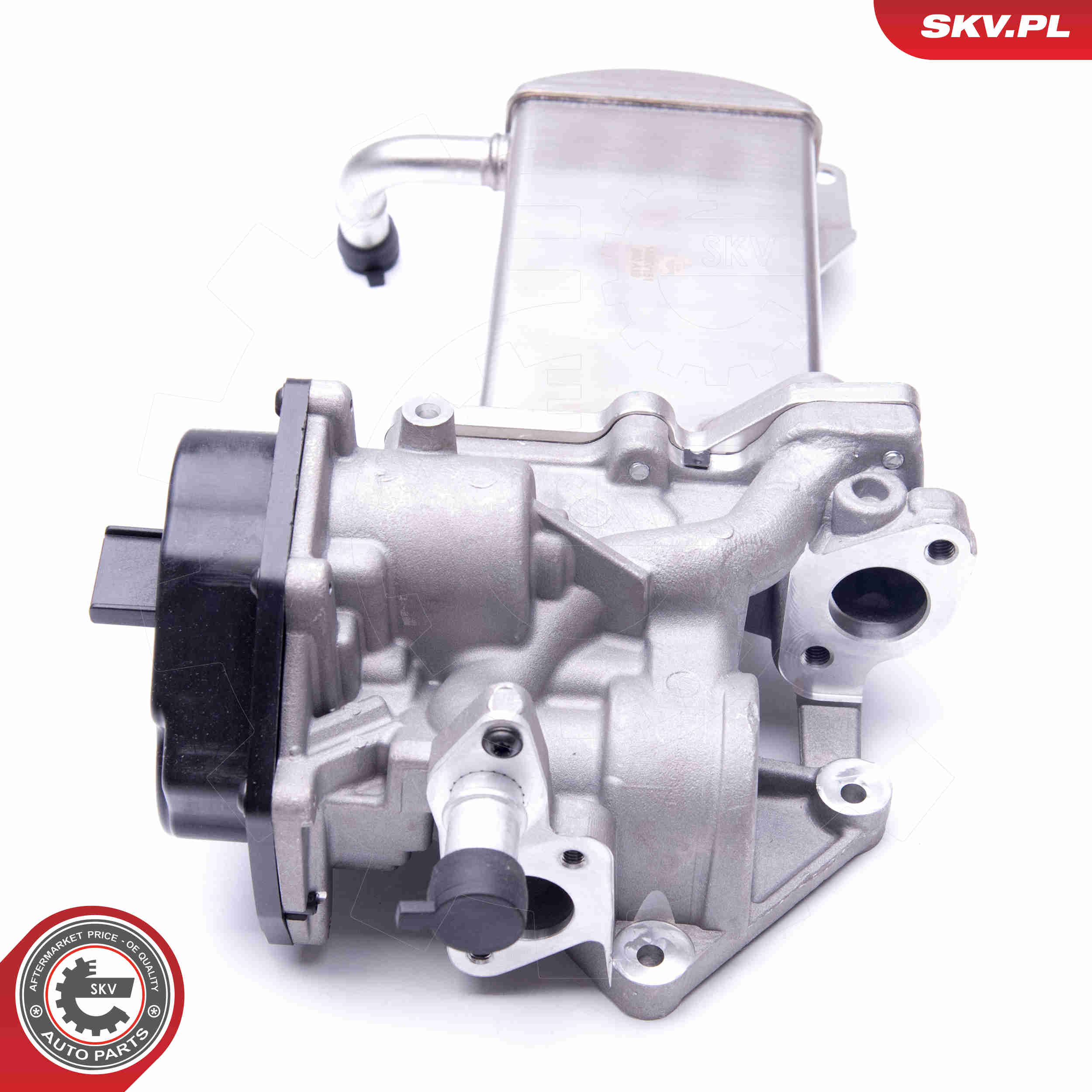 ESEN SKV AGR-Ventil 14skv151 für VAG