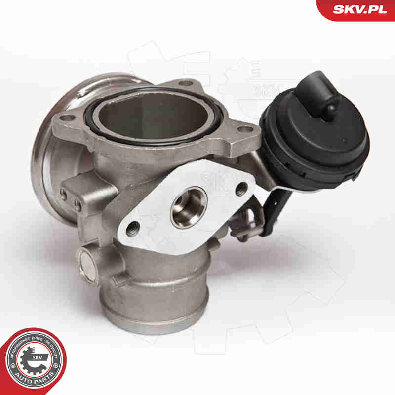 ESEN SKV AGR-Ventil 14skv020 für Ford VAG