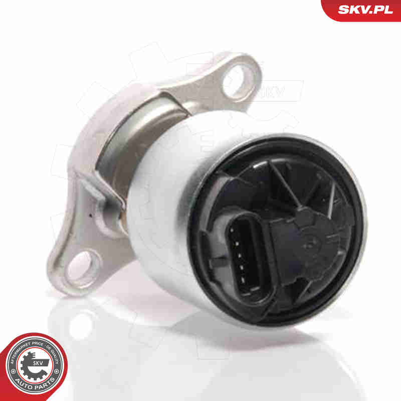 ESEN SKV AGR-Ventil 14skv035 für Opel Vaughall