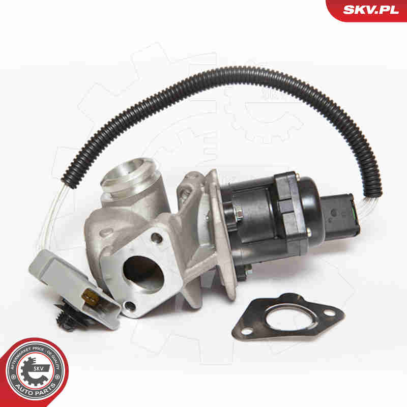 ESEN SKV AGR-Ventil 14skv071 für Ford Volvo