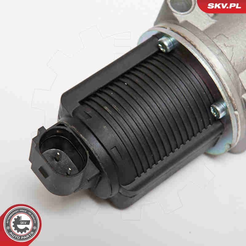 ESEN SKV AGR-Ventil 14skv076 für LANCIA Fiat