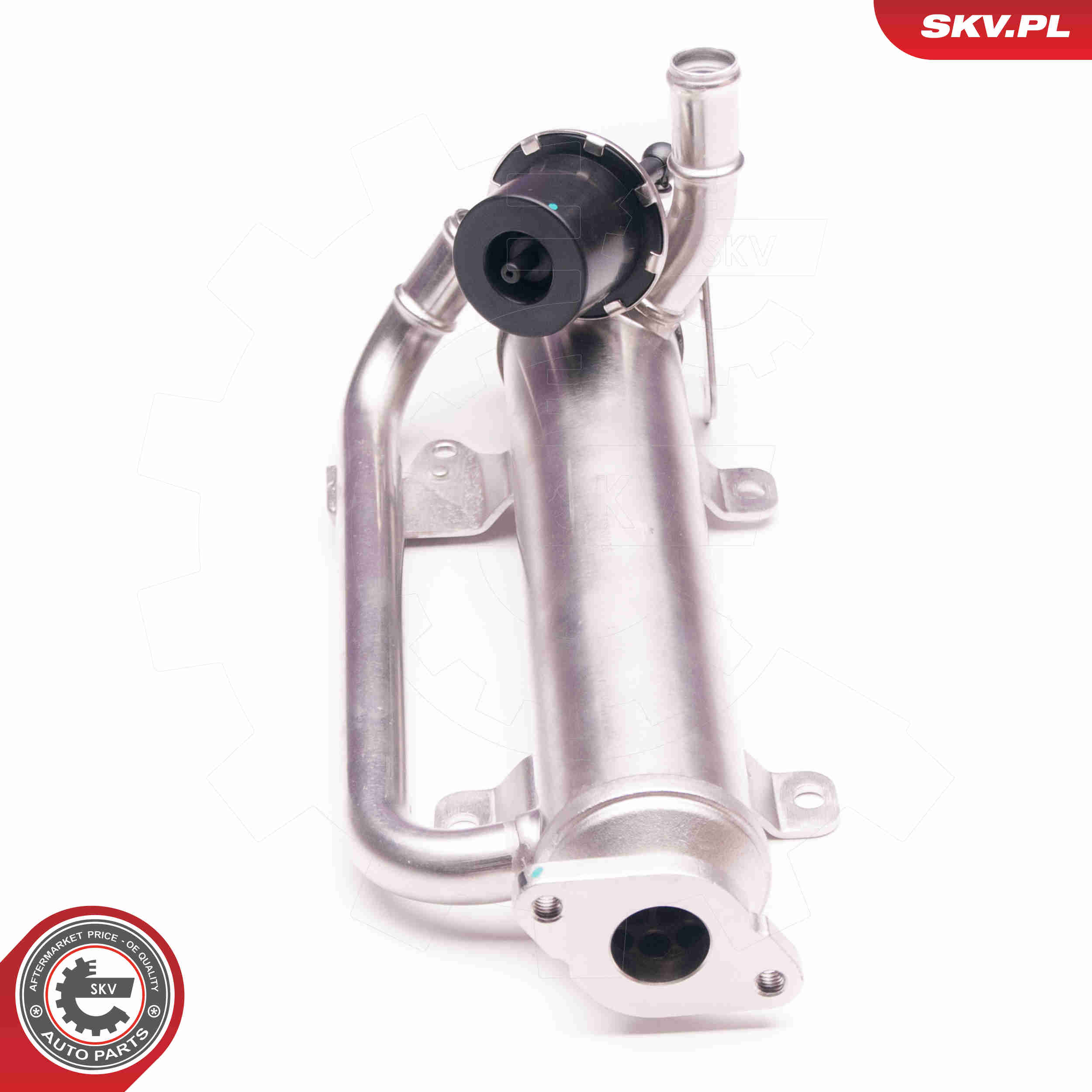 ESEN SKV AGR-Ventil 14skv126 für VAG