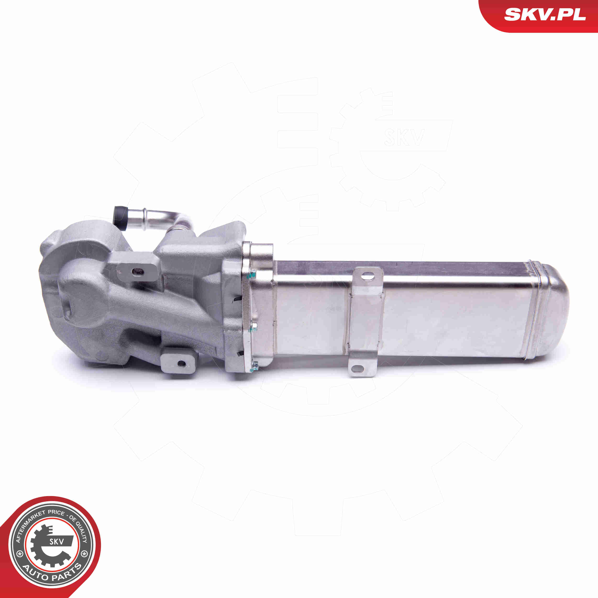 ESEN SKV AGR-Ventil 14skv137 für VAG