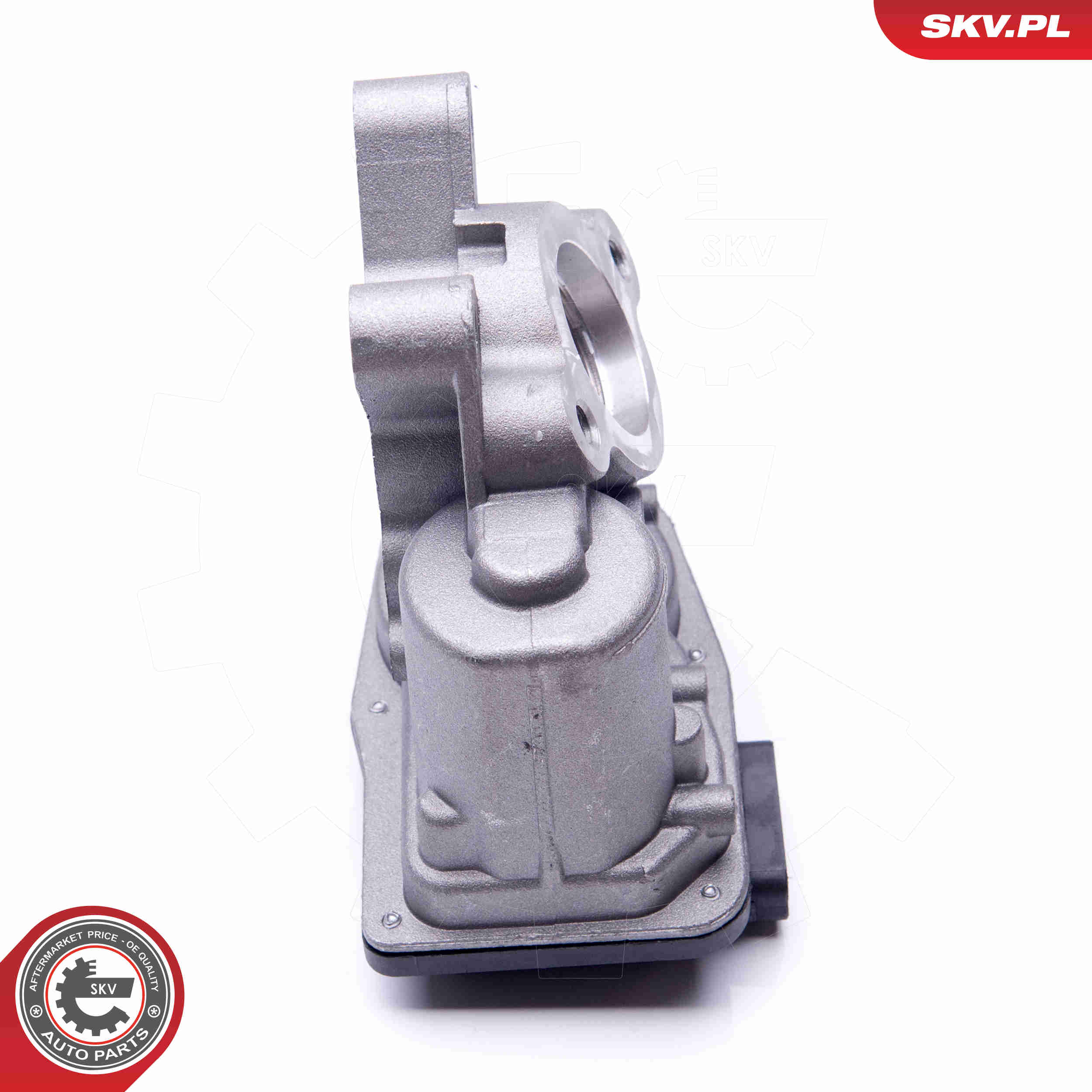 ESEN SKV AGR-Ventil 14skv103 für NISSAN