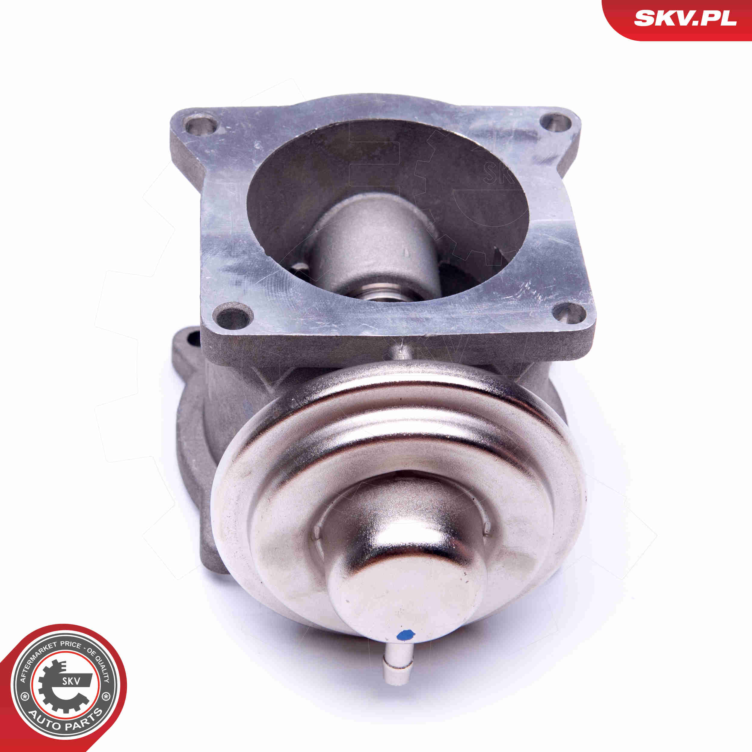 ESEN SKV AGR-Ventil 14skv108 für VW