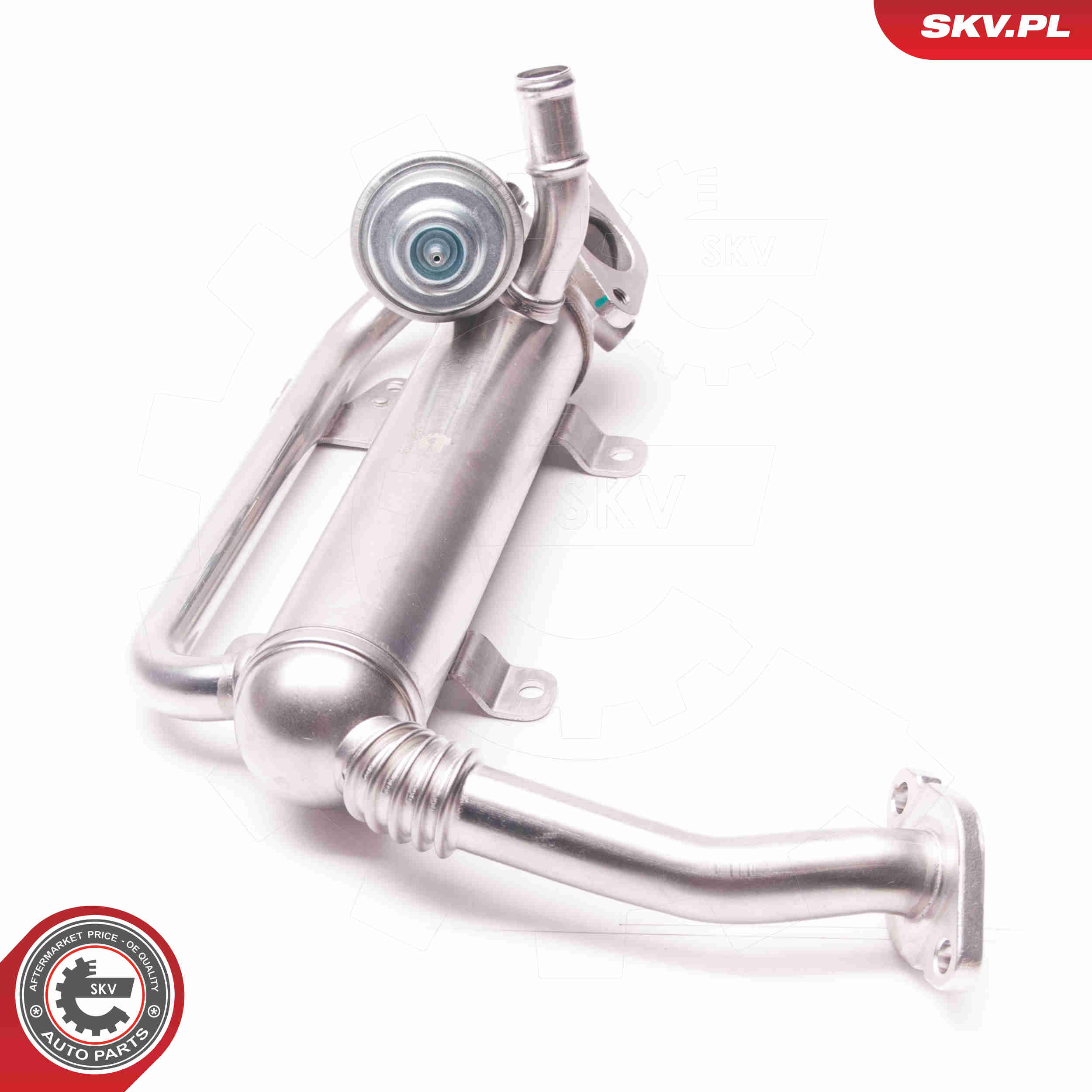 ESEN SKV AGR-Ventil 14skv118 für VAG