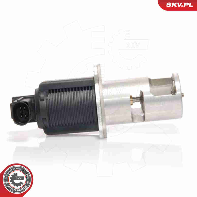 ESEN SKV AGR-Ventil 14skv009 für Opel GM Vaughall NISSAN RENAULT DACIA